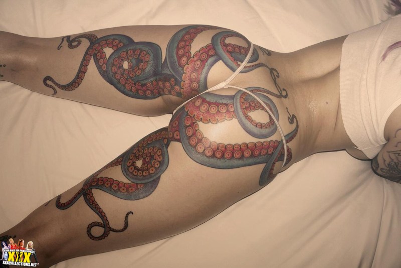 The anal hole of the octopus