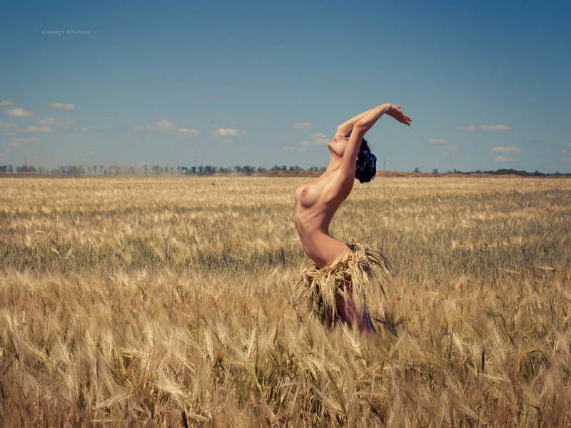 Forum Erotica Polina D (Angelina, Linda, Lola, Phylis, Pollie, Polyna)