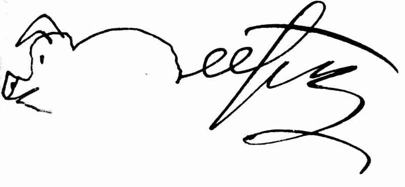 Elena Razinkova Miss Russia 2019