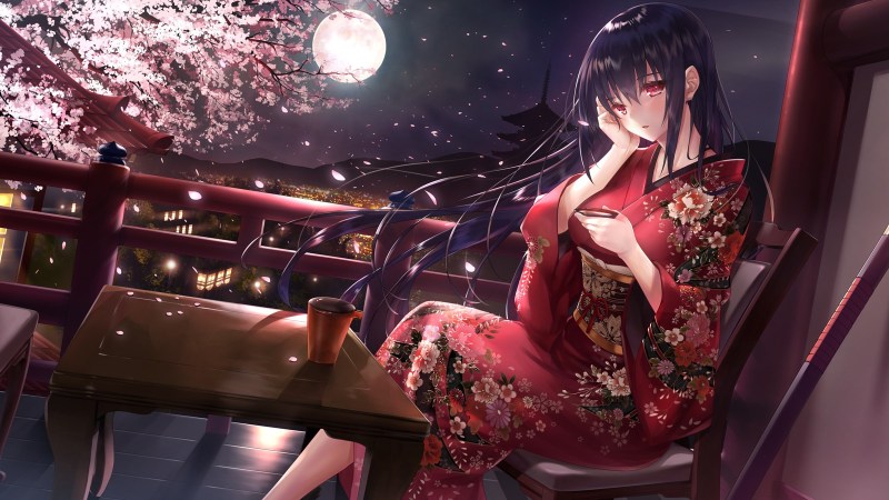 Damn the kimono anime