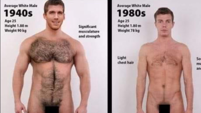 Average and ABOVE AVERAGE MALE COCKS