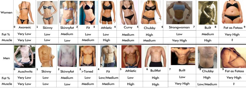 Women's Body Chart