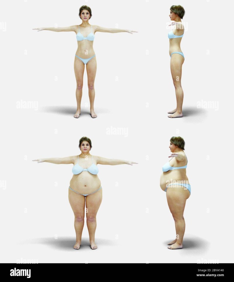 3D model of a fat woman