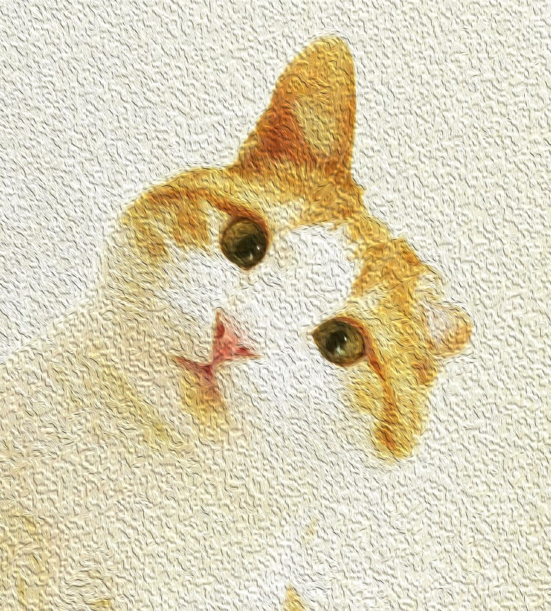 Julia Sazhneva Edinorozheekk