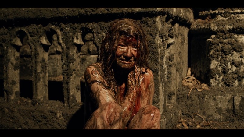 Pornhab statistics for 2020