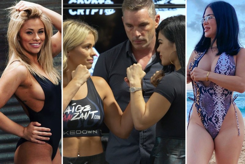 Ryona Anime Wrestling