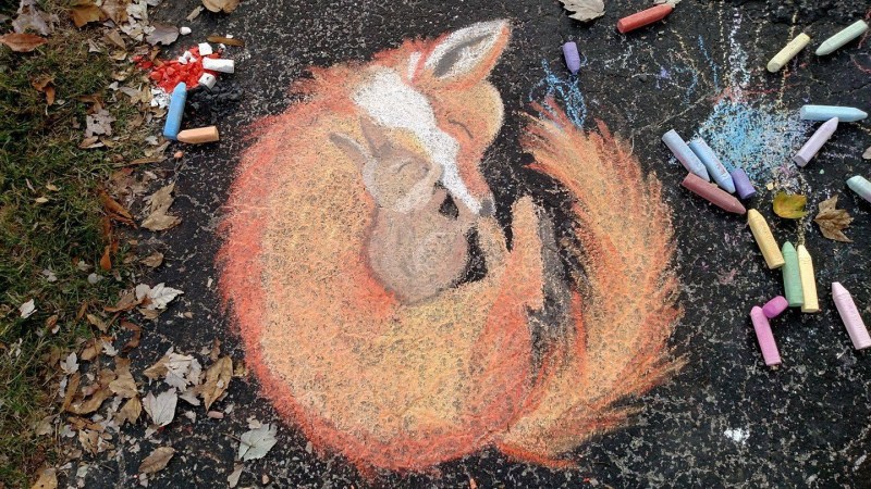 Let the horse on a gallop