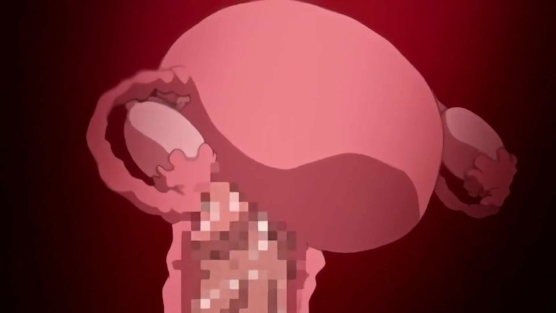 SexMex Teresa Ferrer, quarantine, part 2,