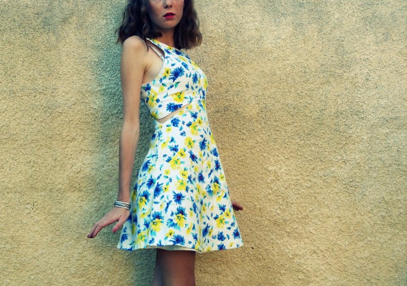 The young model of the princess