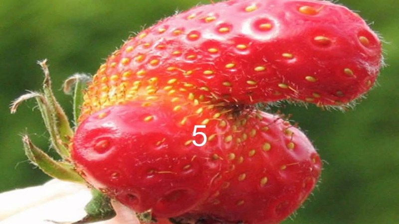 Women's exposure in sports