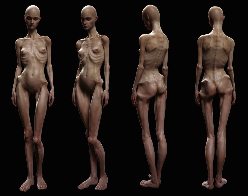 Modeling the female body