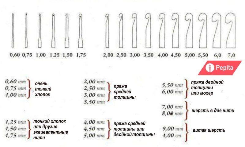 Member in the vagina close -up selfie