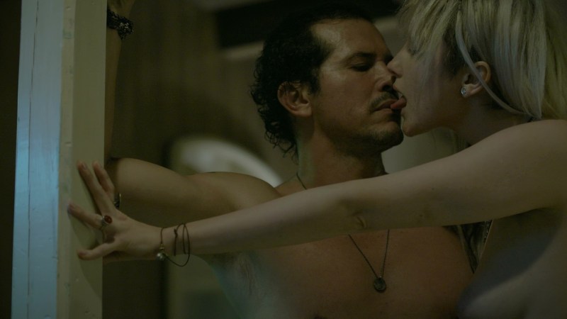 Andrea Zavatski ants