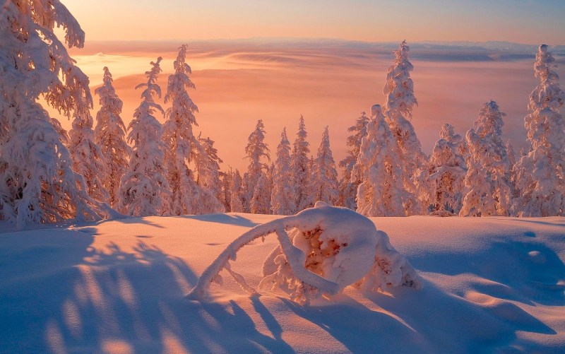 Oymyakon in winter -71