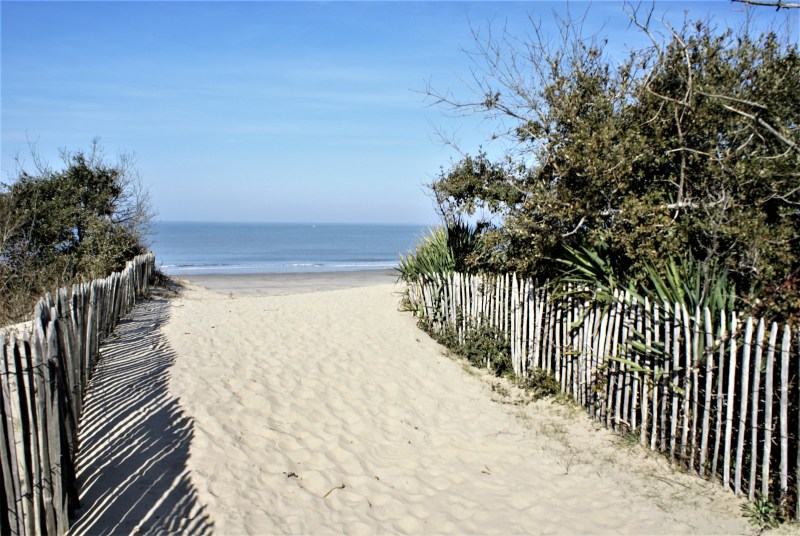 Photoshoot in Lavender