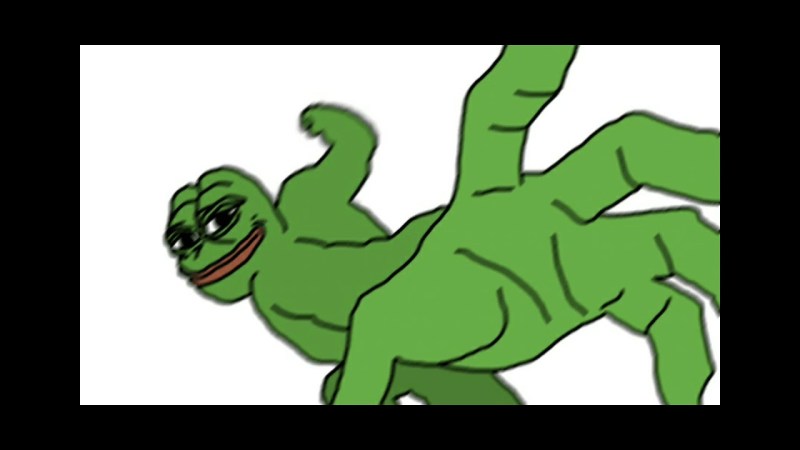 Phases of human walking biomechanics