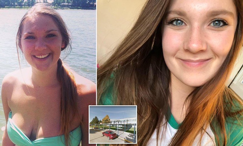 Funny cat from the Internet