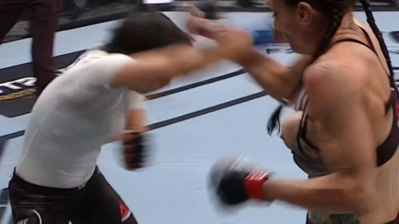 Taiki on Volkin Street