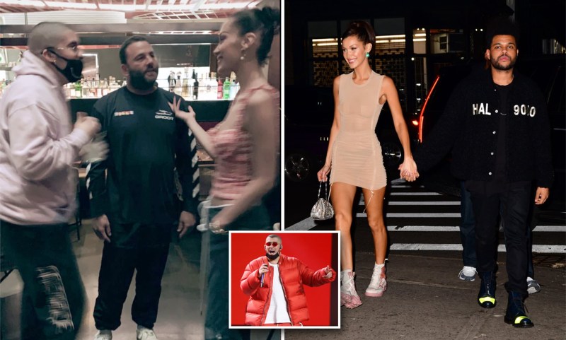 Bella Hadid Personal Life 2021