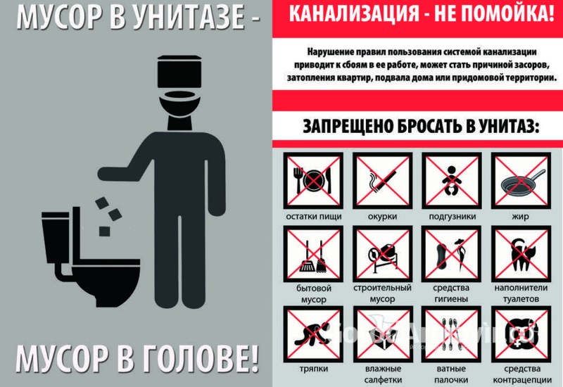 Drunk educators in kindergarten