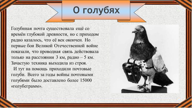 Assassin's Creed Unity Eliza Naked