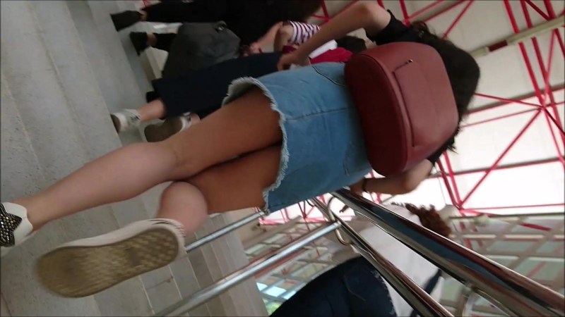 Asses in public transport