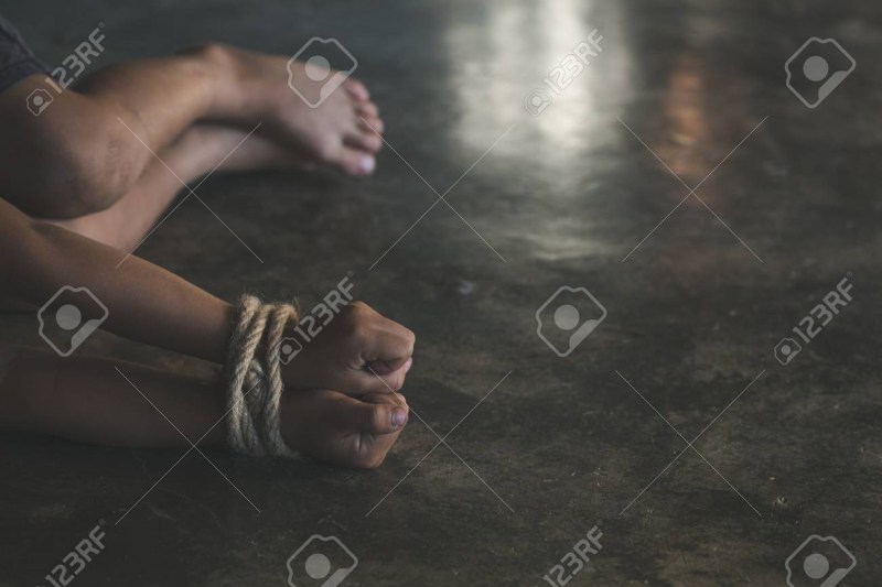 Tomer kapon pitsana season 2