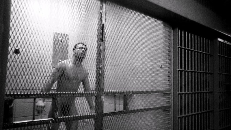 The photographer was fooled