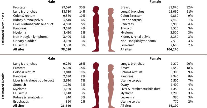 US Kidney and Renal Pelvis Cancer Incidence, By Sex and Race