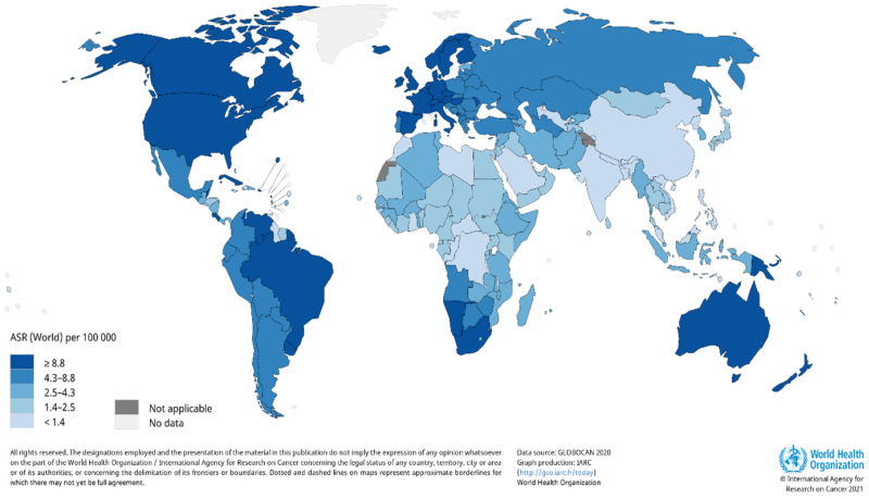 HPV papillomavirus DNA virus
