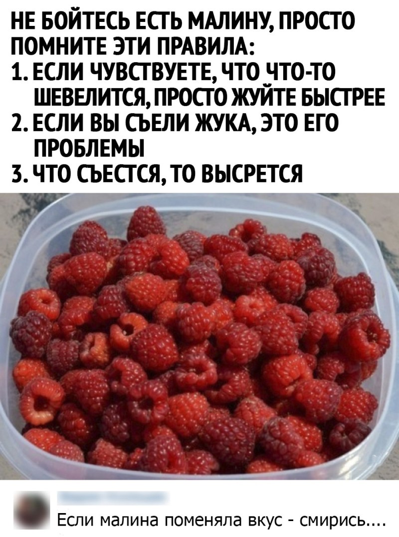 Classification of panties