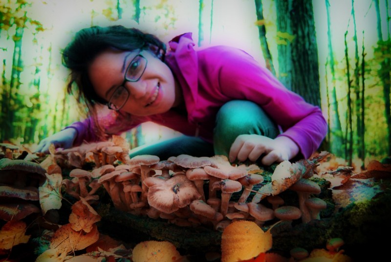 Madina Pliev Bride Zaurbek Sidakov