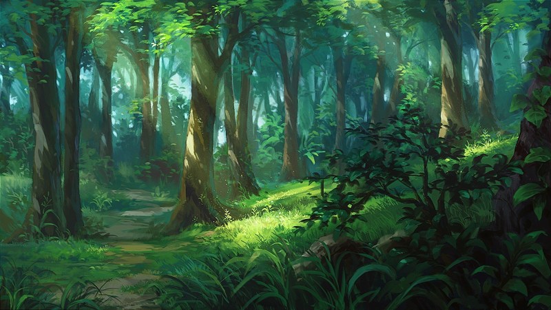The background of the forest anime