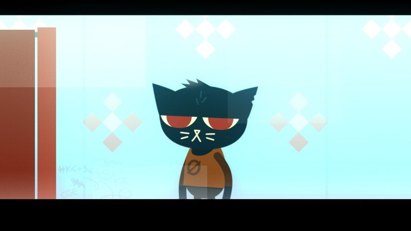 Cat May Night in the Wood