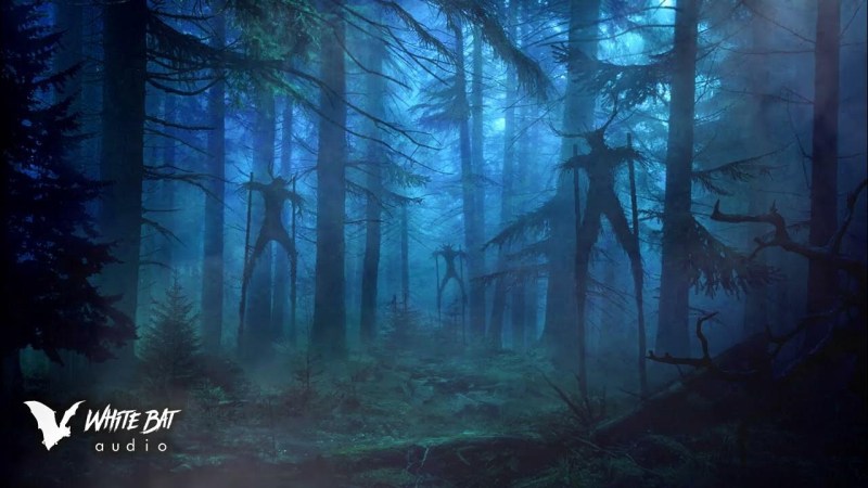 Gloomy forests (2019) Film