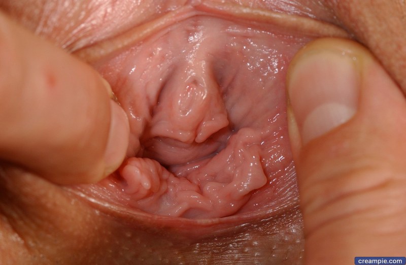 Inside the vagina close -up