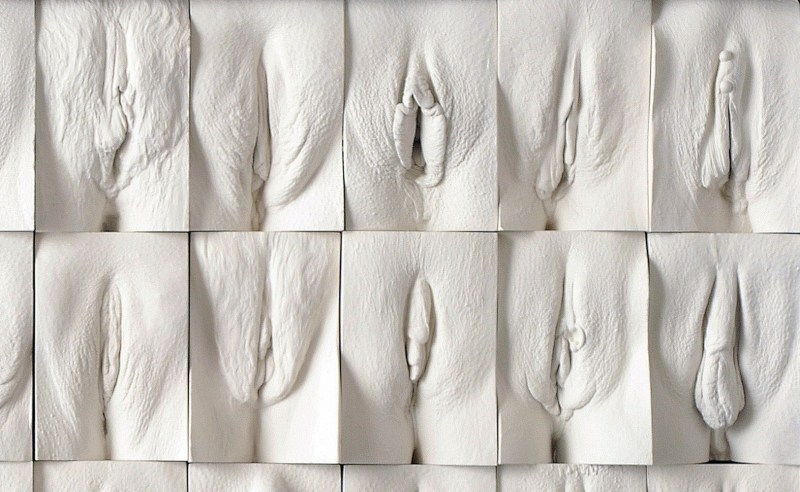 Vagin wall Jamie McCartney