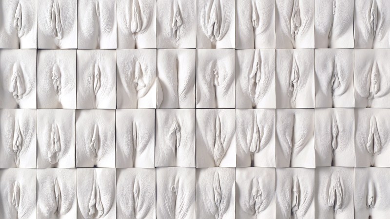 Vagin wall Jamie McCartney