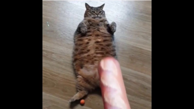 Dylan Ryder Secretary