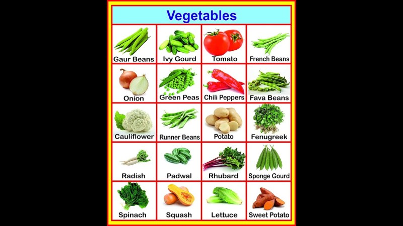 The names of vegetables in English