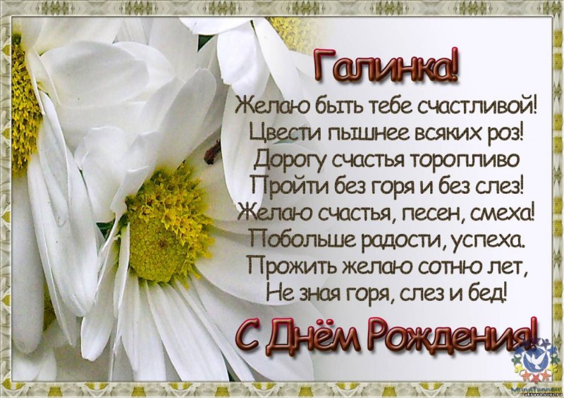 Galina Danshina Pornography