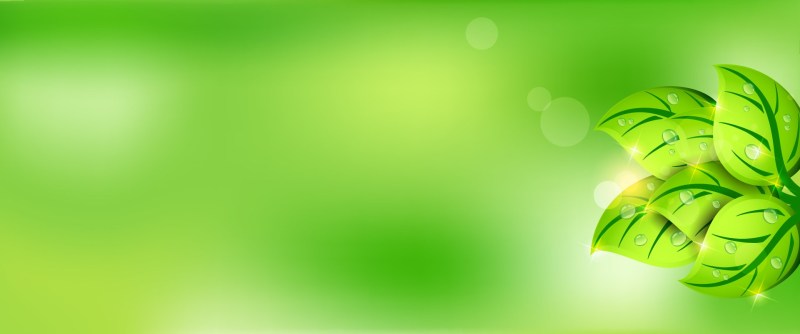 Green background for a business card