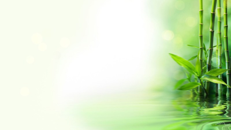 Light green background