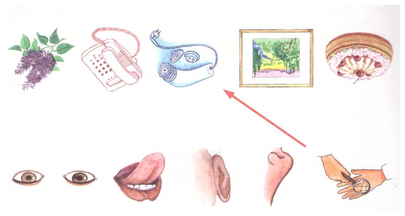 Brooklyn Chase Masturbation