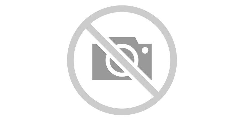 Mini composition on the topic