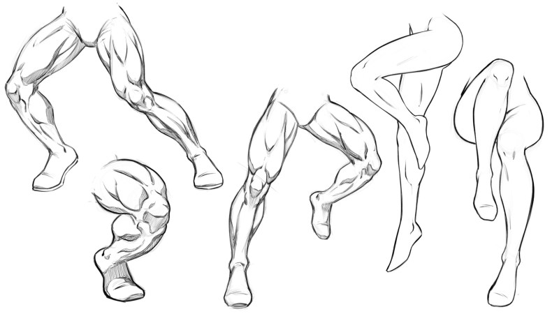 Feet male anatomy reference