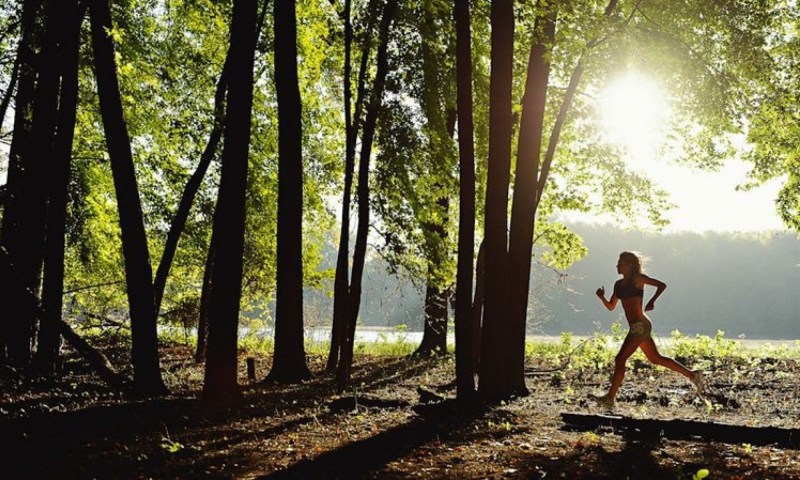 Naked students in nature
