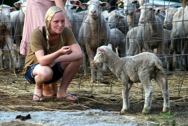 Erotic photo shoot on the farm
