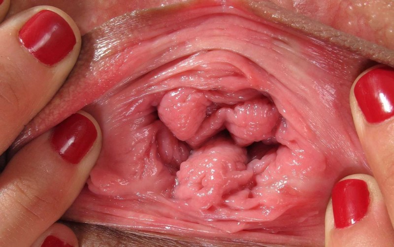 Women's vagina inside