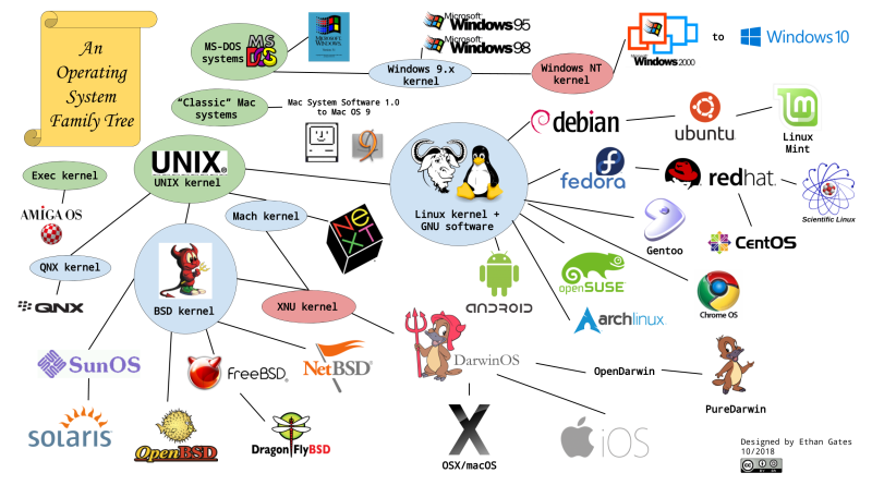 Popular operating system